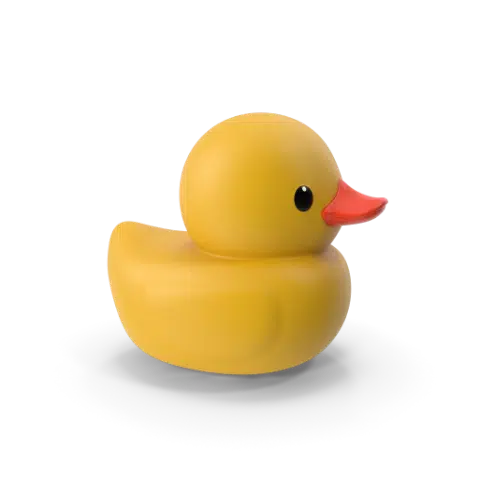 yellow duck floating on a web design and development services companies website